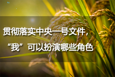 貫徹落實(shí)中央一號文件，“我”可以扮演哪些角色？