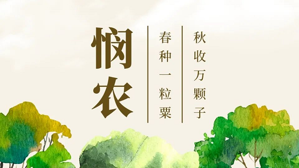 貫徹落實中央一號文件，“我”可以扮演哪些角色？(圖1)