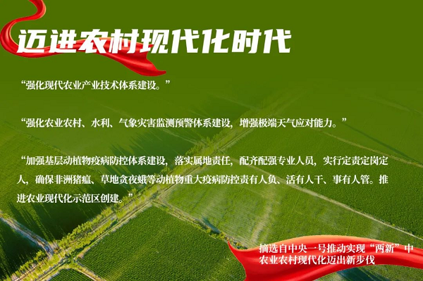 貫徹落實中央一號文件，“我”可以扮演哪些角色？(圖4)